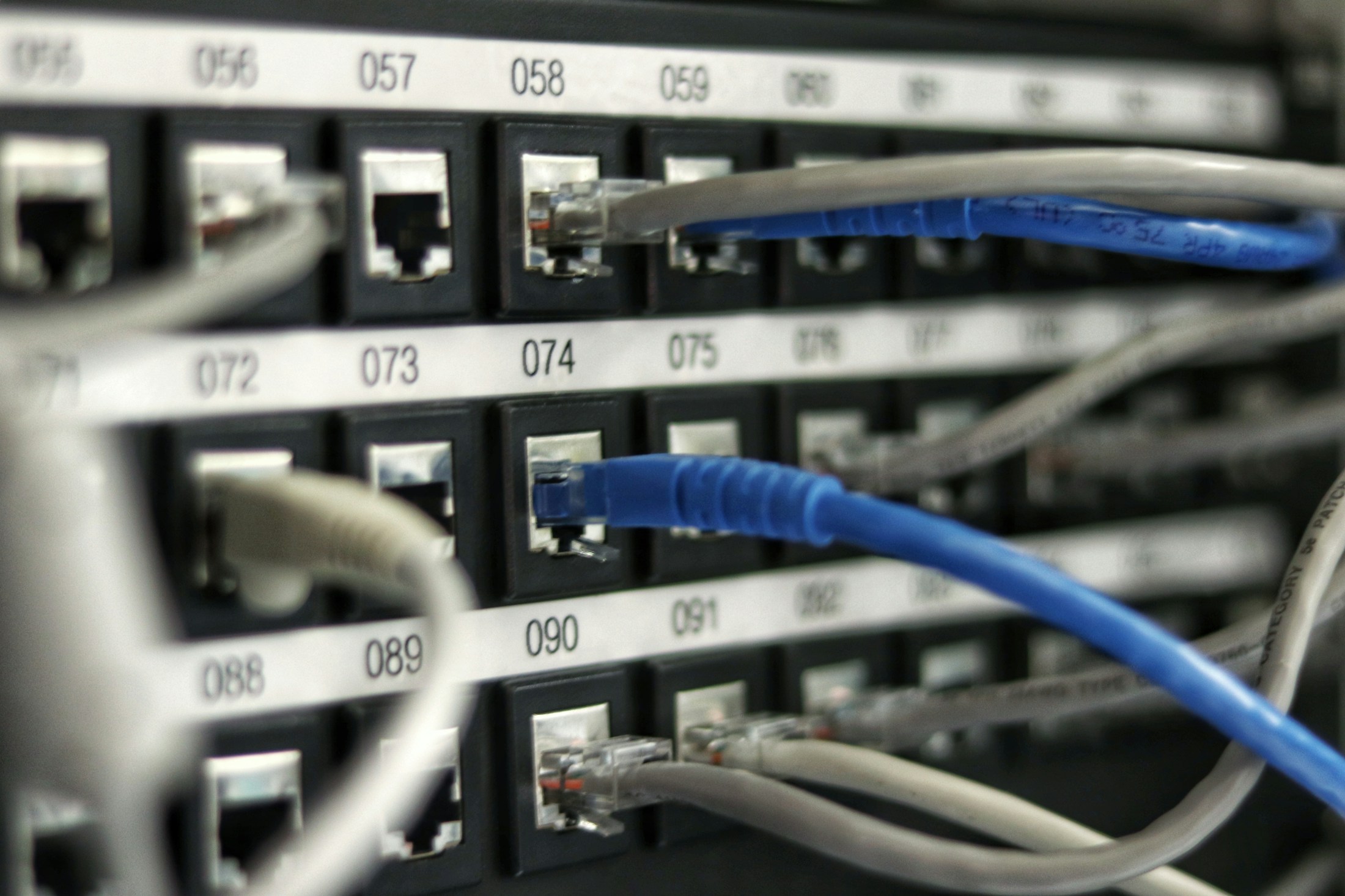 Cabos de rede conectados a equipamentos de infraestrutura profissional em um rack